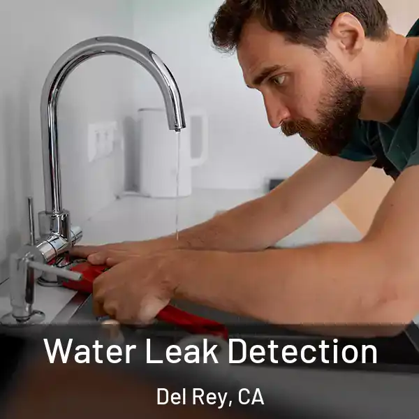  Water Leak Detection Del Rey, CA