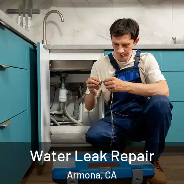  Water Leak Repair Armona, CA