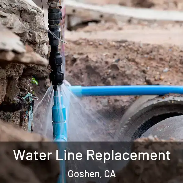 Water Line Replacement Goshen, CA