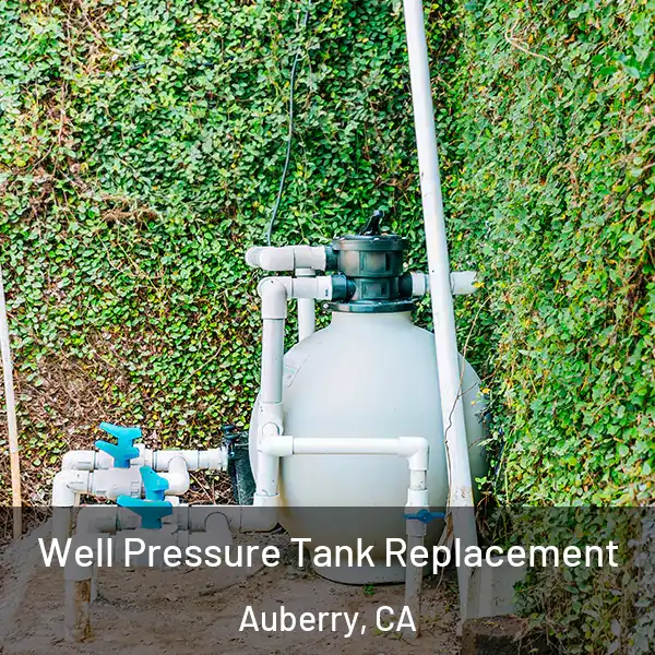  Well Pressure Tank Replacement Auberry, CA
