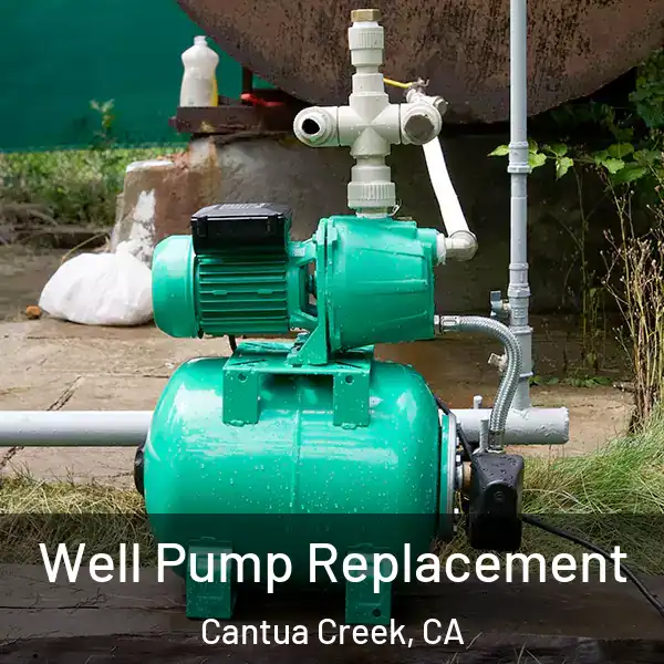  Well Pump Replacement Cantua Creek, CA