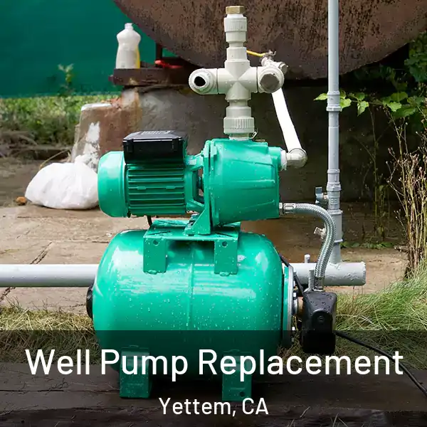  Well Pump Replacement Yettem, CA